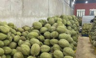 越南水果进口清关问题全解决!