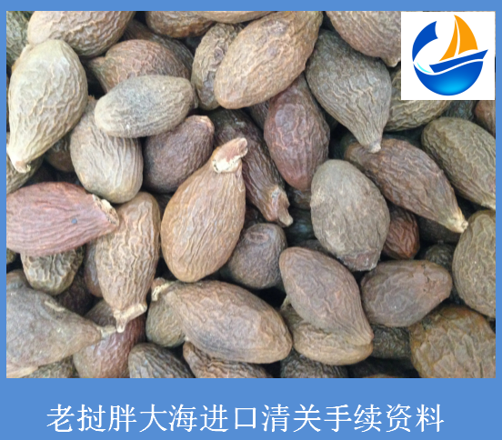 老挝胖大海进口清关资料