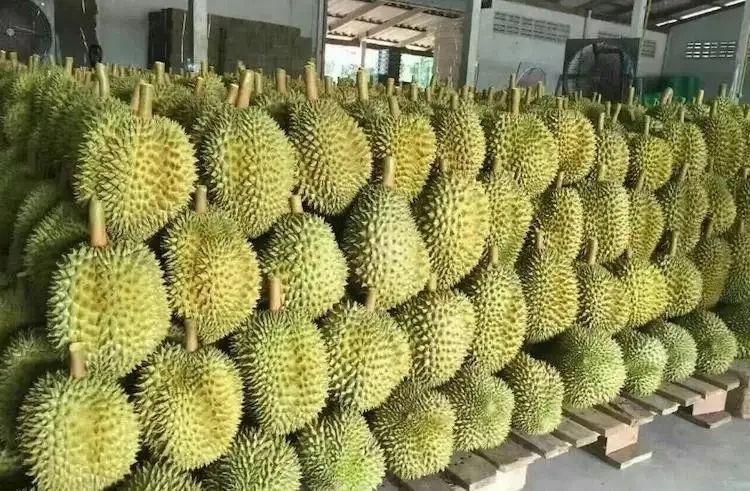 泰国榴莲进口国内清关操作流程