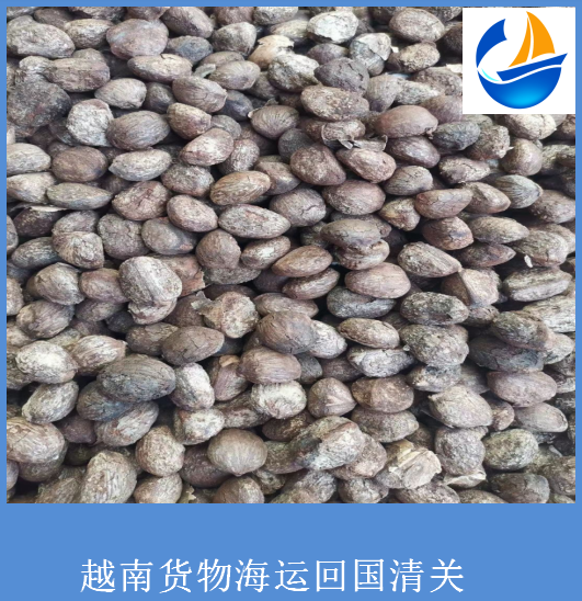 货物从越南河内发海运到国内港口清关