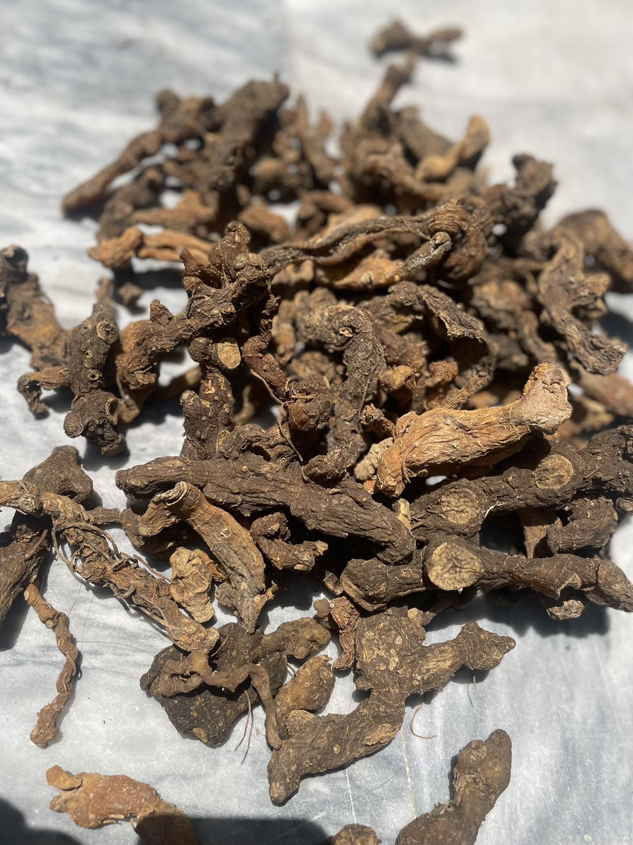 黄精缅甸发海运到黄埔港运输清关代理