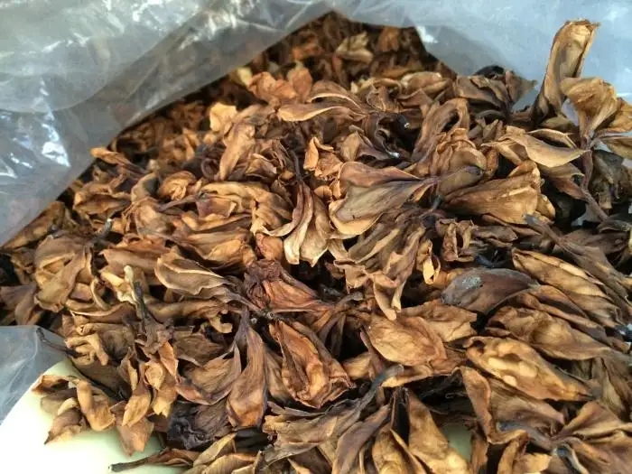 越南进口鸡蛋花海运进口注意事项