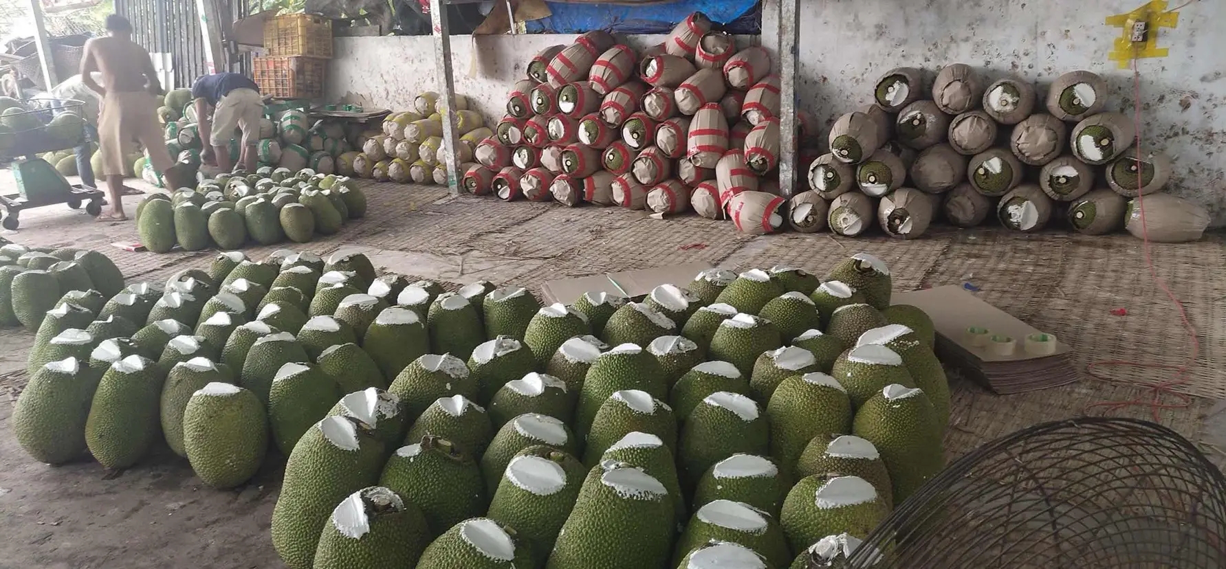 越南菠萝蜜进口操作流程