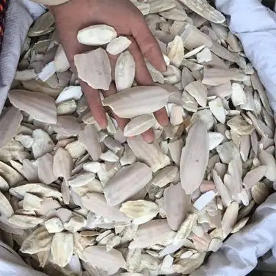 泰国墨鱼骨海运进口操作注意事项