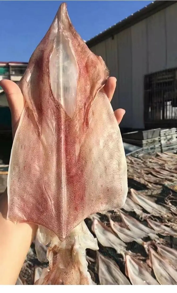 进口越南鱿鱼干有哪些特别注意事项