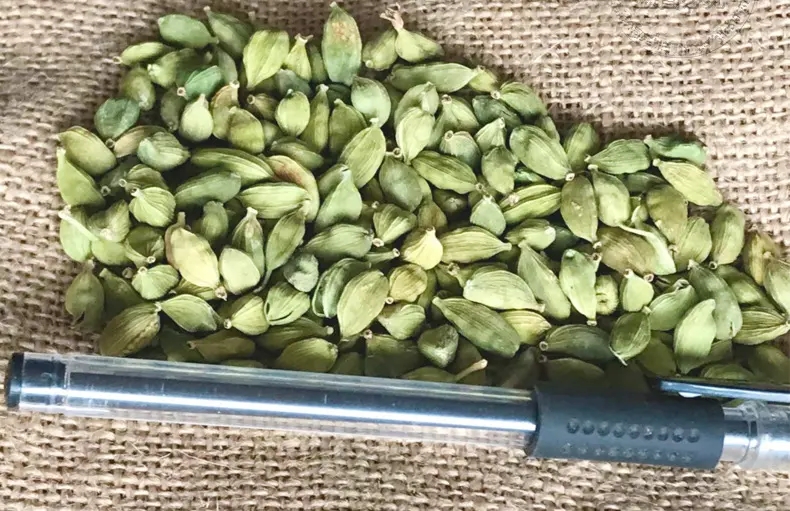 绿豆蔻.webp.jpg