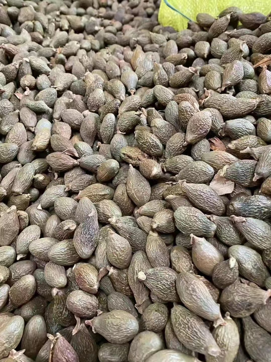 越南胖大海进口上海港清关操作流程