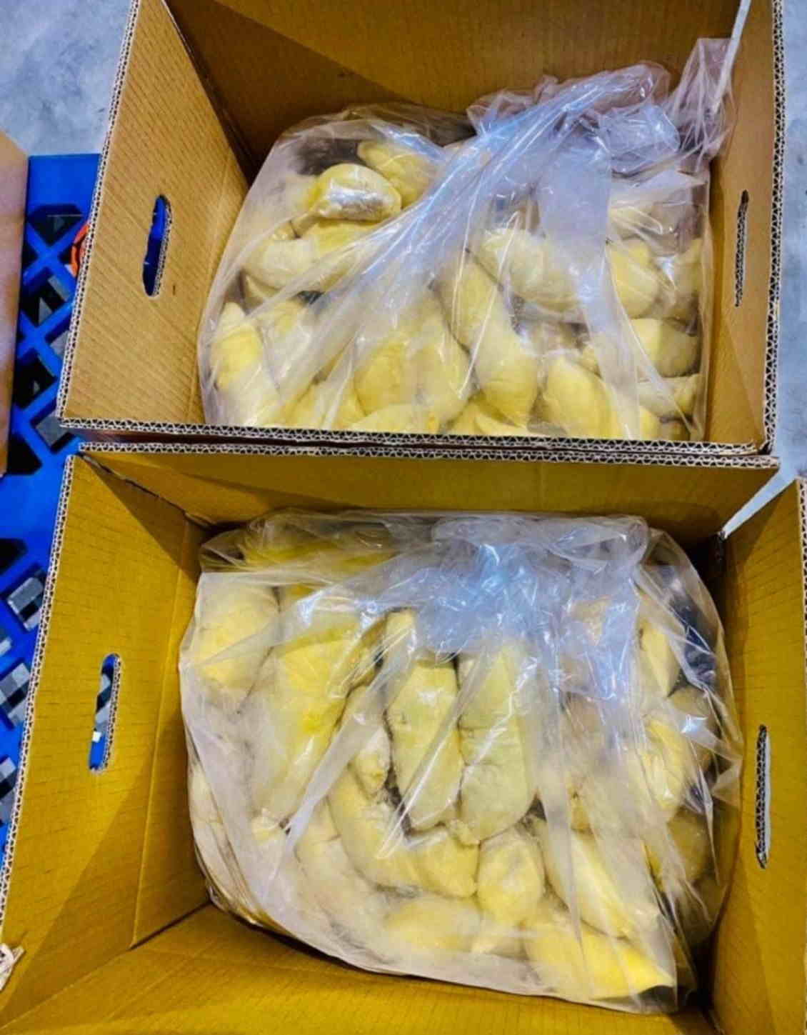 越南榴莲从深圳蛇口港进口清关介绍