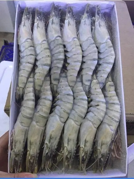 印度冷冻海鲜进口深圳清关流程是怎样的？