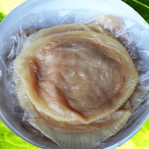 进口海蜇发回深圳清关要什么资料？