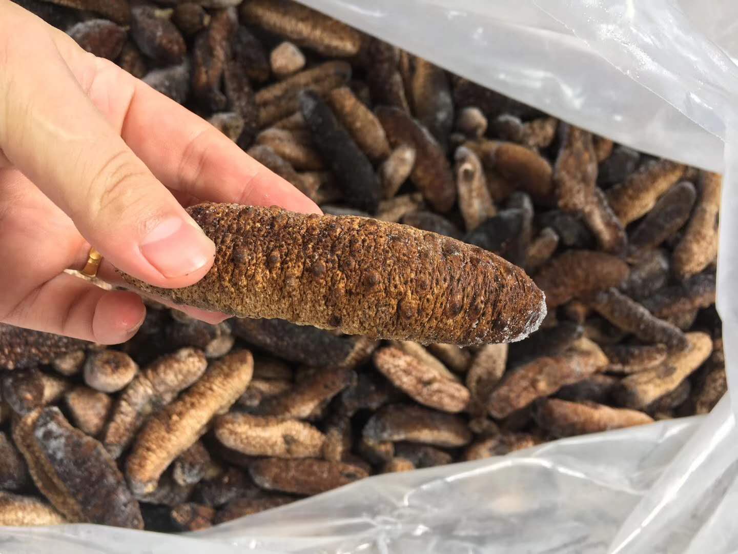 印尼药用干海参进口清关如何操作？