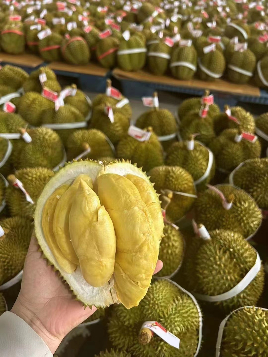 泰国榴莲进口单证手续如何办理？