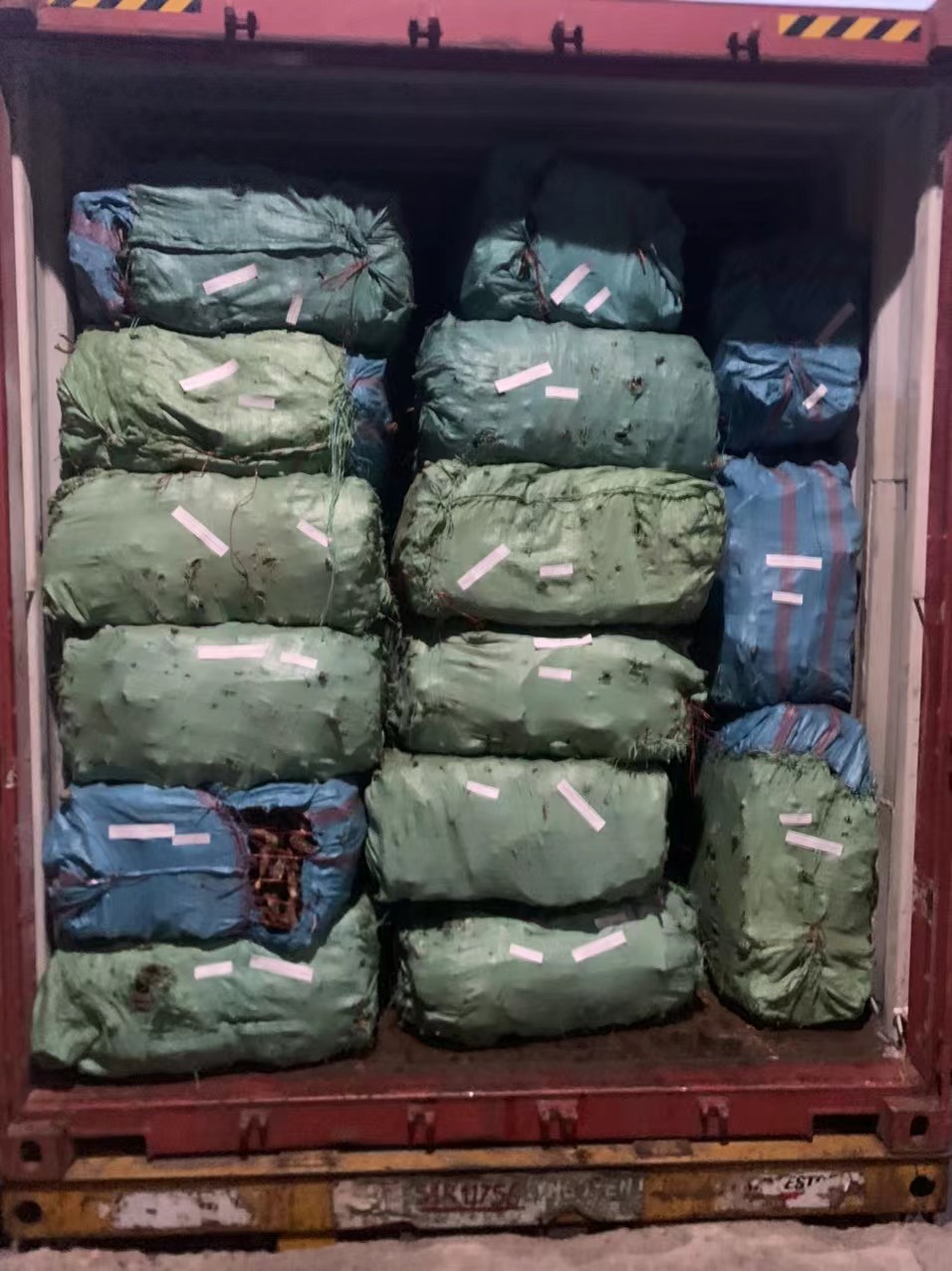 如何操作越南货柜海运回蛇口港？