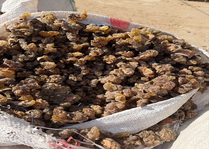 13cabe82858e69c6a288da97eba045ab.jpg 13cabe82858e69c6a288da97eba045ab.jpg